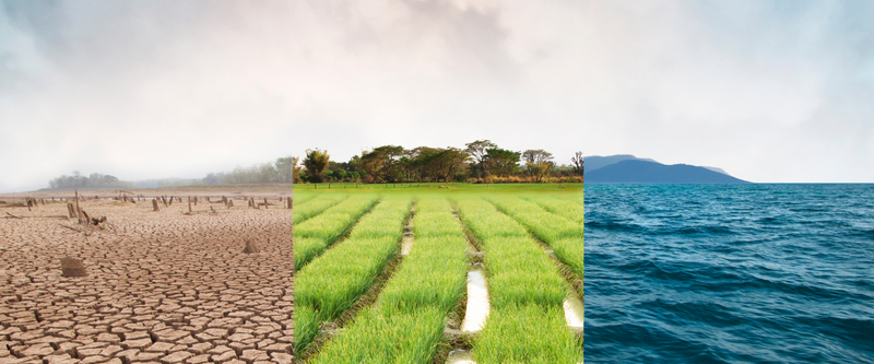 Het effect van het klimaat op de afbouw