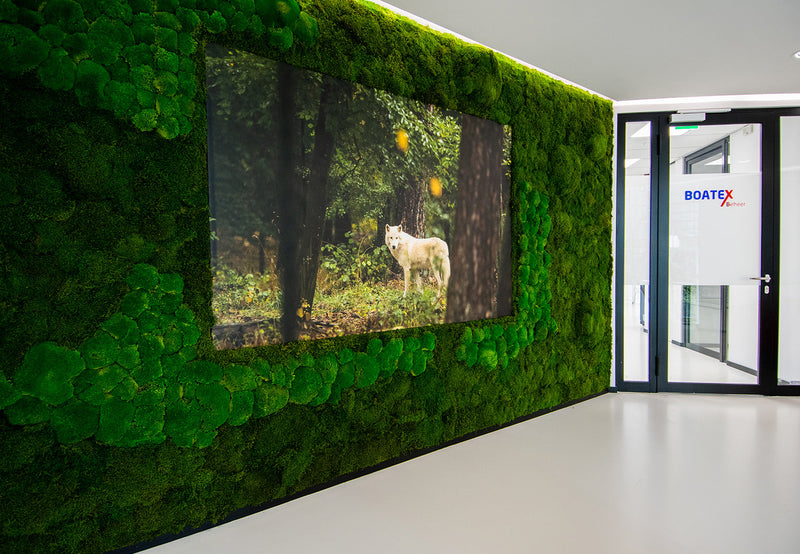 Het gebruik van biomimicry in de afbouw is de trend