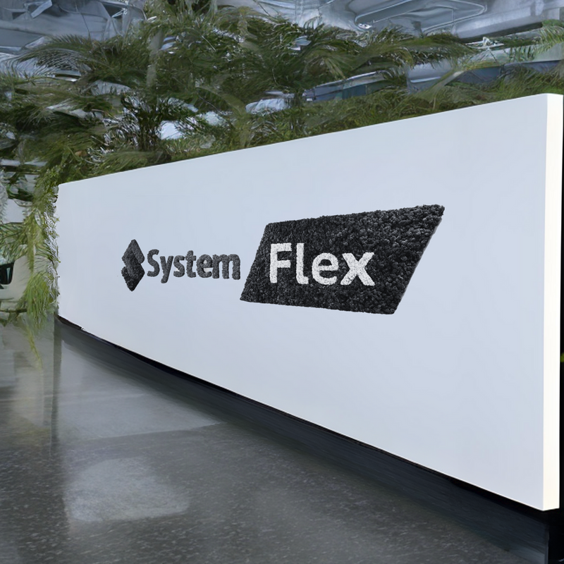 Coming Soon - The Flex Flying